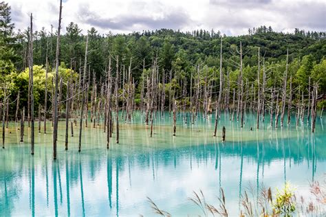 Blue Pond - Hokkaido Guide