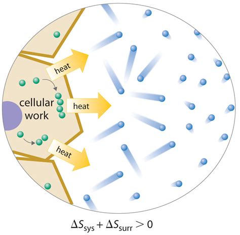 Second law of thermodynamics examples - breakloced