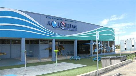 Is There An Aquarium In San Antonio - Aquarium Views