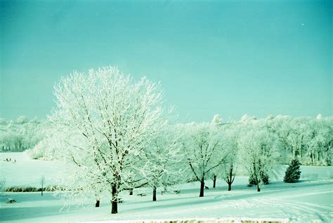 Frosty Winter in Iowa