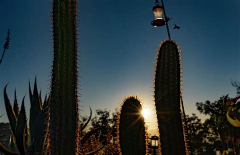 Mexico Wine Country Ensenada Photograph by Tommy Farnsworth