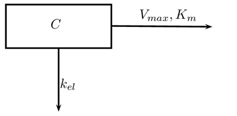 Schematic representation of I.V. bolus injection with mixed drug ...