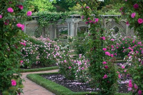 Biltmore Estate Gardens Plants – Beautiful Flower Arrangements and Flower Gardens