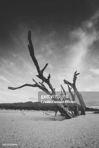 Brandvlei Dam Photos and Premium High Res Pictures - Getty Images