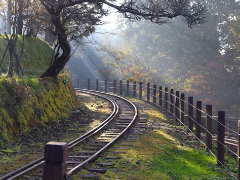 How to Get from Chiayi to Alishan (+ Train & Bus Schedules) • Hoponworld