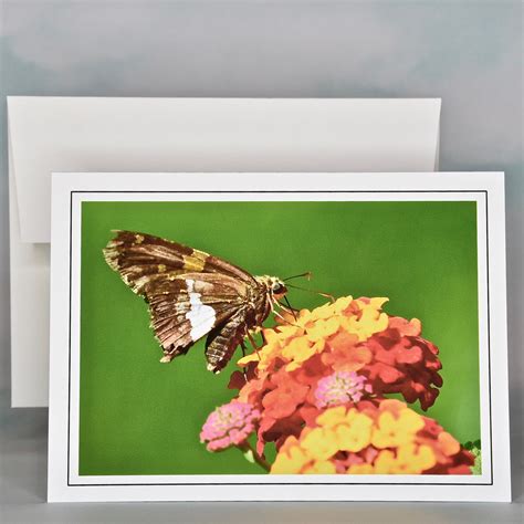 Butterfly Photo Note Cards - Blank Note Cards