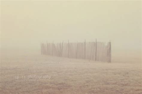 sassafras: morning fog :: landscape photography