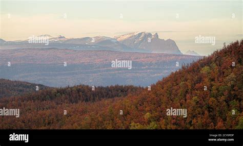 Hiking in norwegian mountains Stock Photo - Alamy