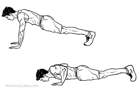 Push-up | Illustrated Exercise guide - WorkoutLabs