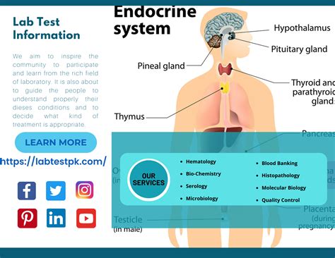 Aldosterone Blood Test