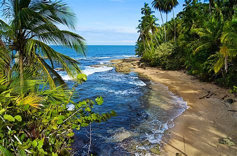 Manzanillo travel | Costa Rica, Central America - Lonely Planet