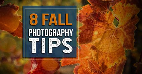 8 Fall Photography Tips for Capturing Spectacular Autumn Colors