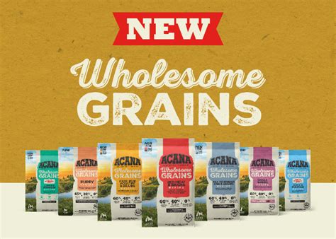 What Are Healthy Grains For Dogs