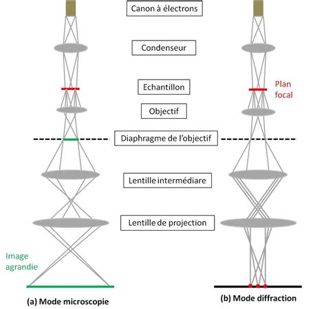 3.1-Principe du fonctionnement d'un microscope électronique en mode... | Download Scientific Diagram