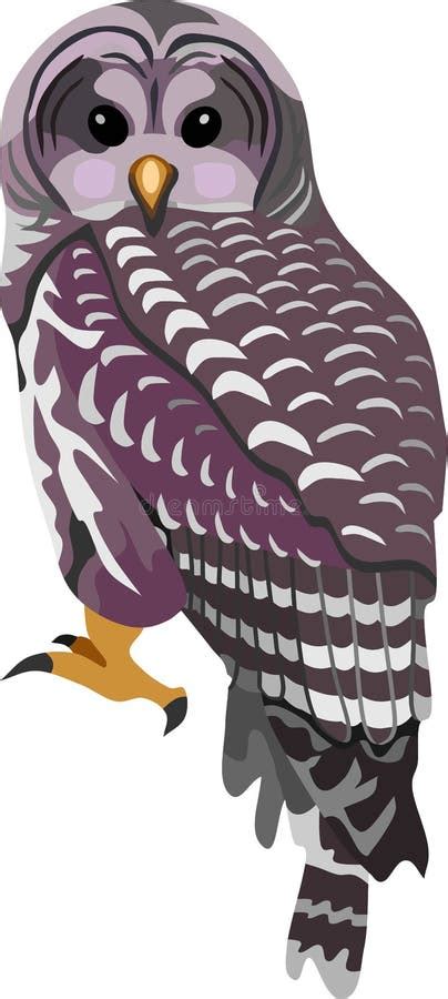 Barred Owl Stock Illustrations – 315 Barred Owl Stock Illustrations, Vectors & Clipart - Dreamstime