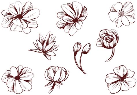 Free Vintage Detailed Flower Vectors 153233 Vector Art at Vecteezy