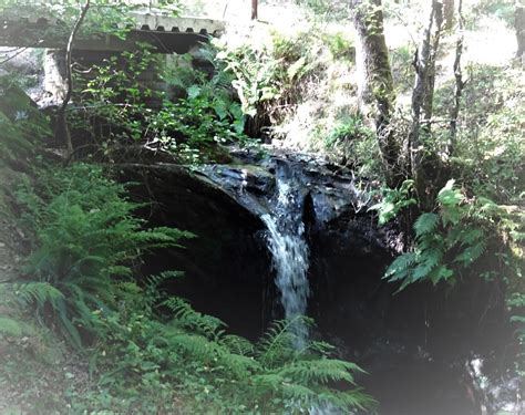 Elan valley wales waterfall trail | Therese | Flickr