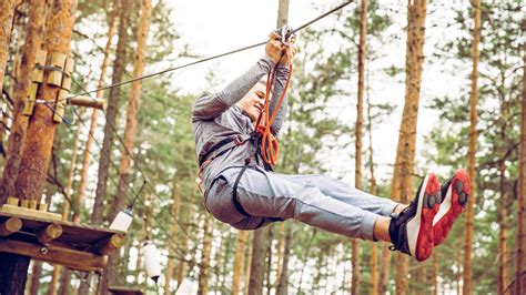 Flying Foxes Turns Rosalind Park into Unexpected Thrill-Seekers' Playground