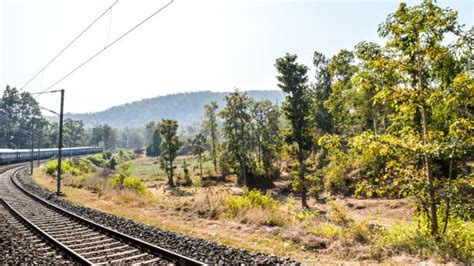 20+ Konkan Railways Stock Photos, Pictures & Royalty-Free Images - iStock