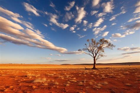 Premium Photo | Outback Ovation Australia Day photo