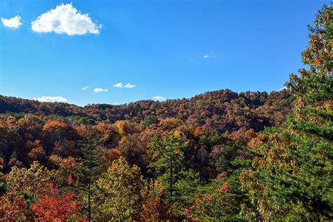 Fall Color Watch - Smoky Mountain Ziplines