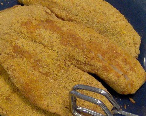 Fried Cornmeal-Crusted Catfish Recipe - Food.com