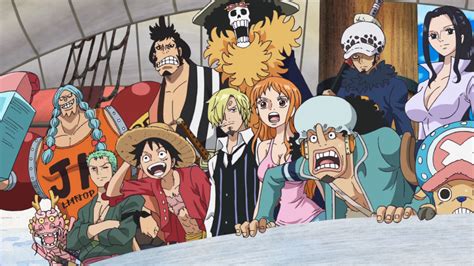 Monkey D Luffy All Crew Members