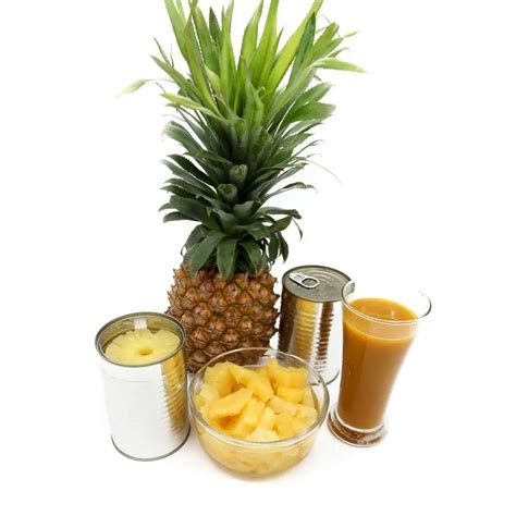 Canned Pineapple Chunks - Buy Canned Pineapple,Canned Pineapple Slices In Syrup,Canned Tropic ...