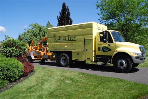 A Review of the 6 Best Tree Services in Allentown, PA