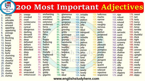 200 Most Important Adjectives in English - English Study Here