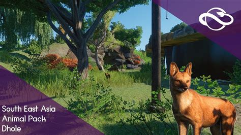 Dhole habitat | Planet Zoo South East Asia Animal Pack - YouTube