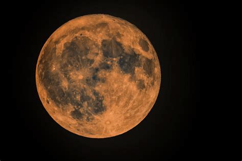 Harvest moon of October 2017 Photograph by Eti Reid - Fine Art America