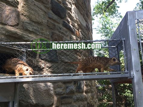 Meerkat Enclosure Mesh, Meerkat Exhibition Netting