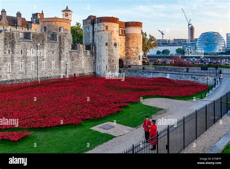 Poppy Display at The Tower of London To Commemorate the 100 year ...