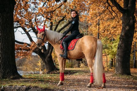 HORSE TRAIL RIDING TIPS – Equestroom