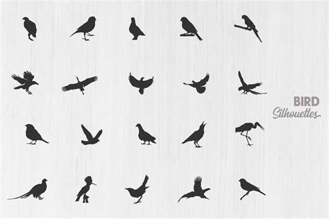 Bird Silhouettes, Flying Bird Silhouette Graphic by Design_Lands · Creative Fabrica