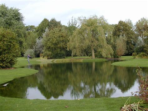 large ponds - Google Search | Pond landscaping, Natural pond, Backyard water feature