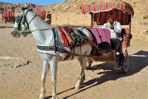 Horse-drawn Buggy Ride in Petra, Jordan - Encircle Photos