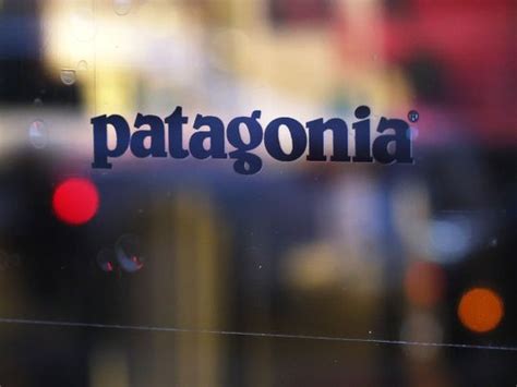 Patagonia founder gives away company worth $3 billion to fight climate change | Business – Gulf News