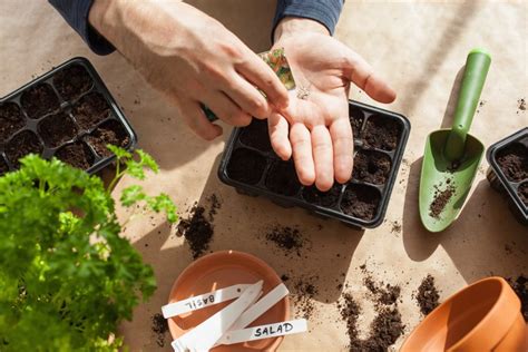 Growing Seeds: How to Grow Plants from Seeds | Garden Design