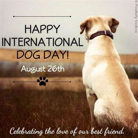 Happy National Dog Day 2018: Quotes with Images To Celebrate Man’s Best ...