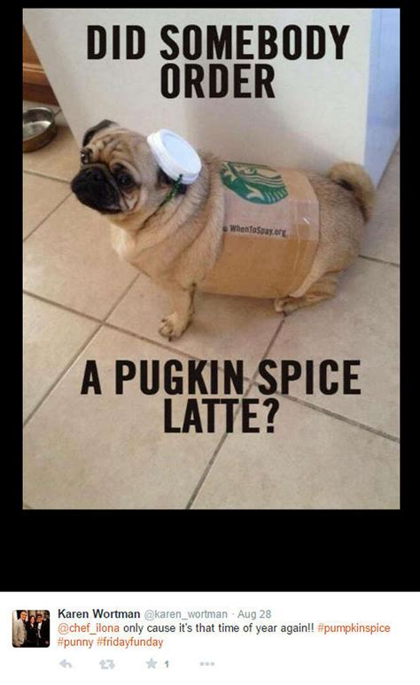 Pumpkin Spice Latte memes from the internet