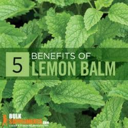 Lemon Balm: Benefits, Side Effects & Dosage