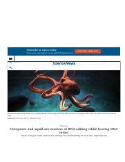 RNA Editing in Octopuses and Other Shell-Less Cephalopods: | Course Hero