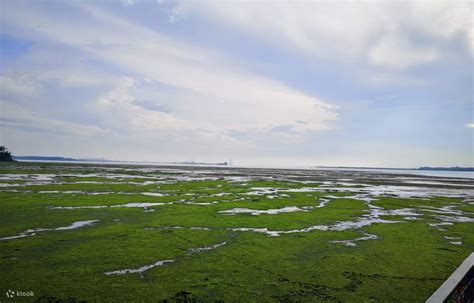 Pulau Ubin Chek Jawa Tour - Klook