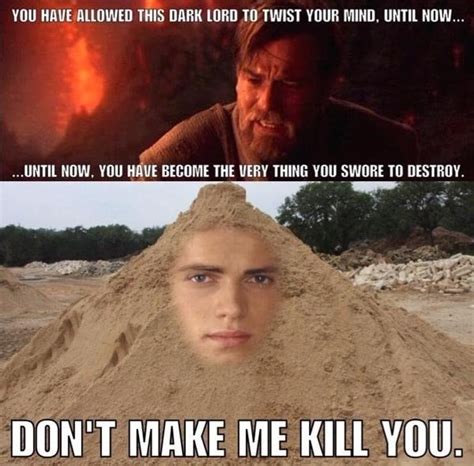 Anakin Skywalker I Hate You Meme - Margaret Wiegel