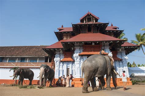 Thrissur, India - Thrissur Tourism | Thrissur Travel Guide - Yatra.com