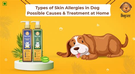 Types of Skin Allergies in Dog | Possible Causes & Treatment at Home ...