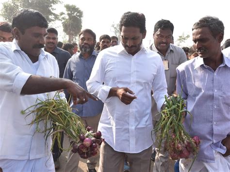 YS Jagan Padayatra Reaches 3600 Km Landmark