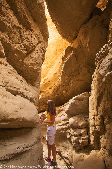 Anza-Borrego Slot Canyon - Photo Blog - Niebrugge Images